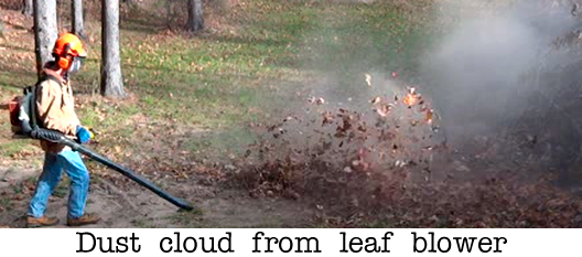 Dust cloud from leaf blower